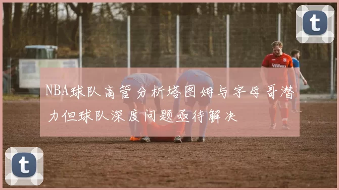 NBA球队高管分析塔图姆与字母哥潜力但球队深度问题亟待解决