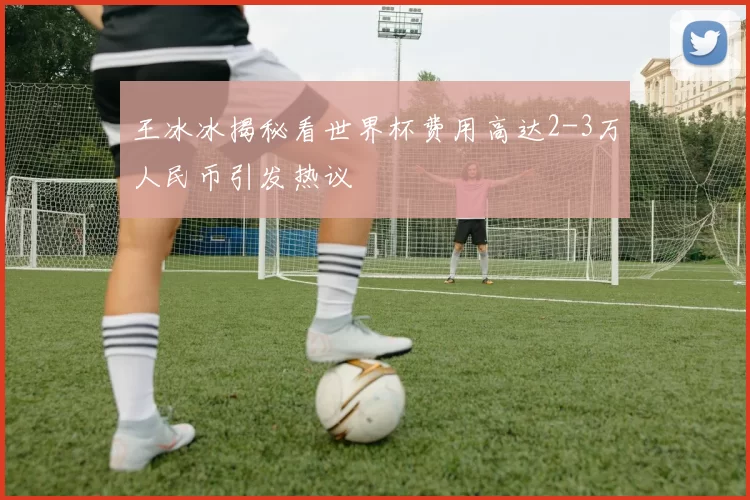 王冰冰揭秘看世界杯费用高达2-3万人民币引发热议