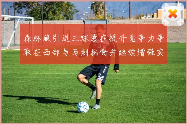森林狼引进三球意在提升竞争力争取在西部与马刺抗衡并继续增强实力